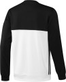 AJ5418_B_Torso_B2CCat.jpg