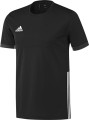 AJ5306_F_Torso_B2CCat.jpg