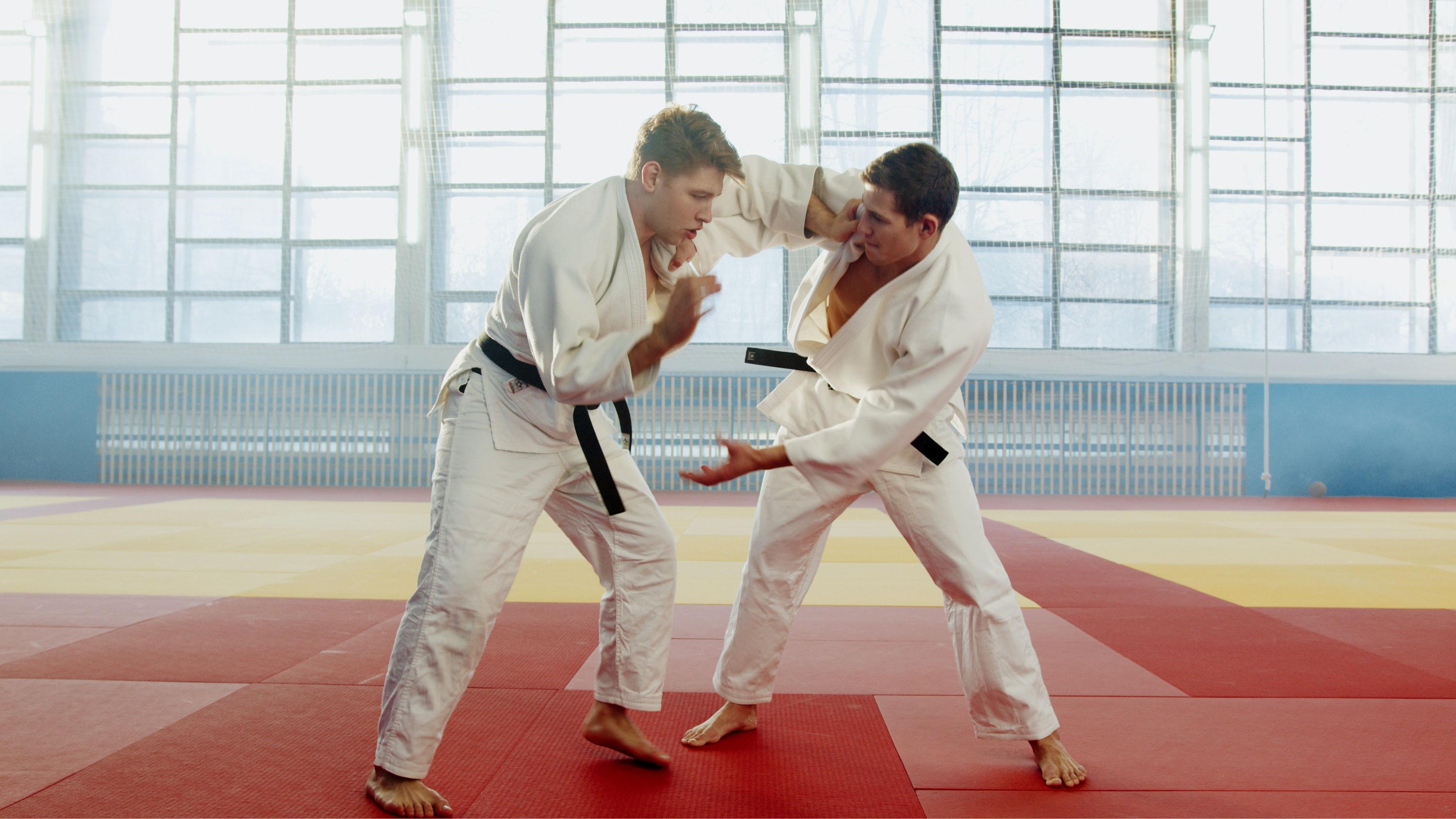 jakie są pasy w judo